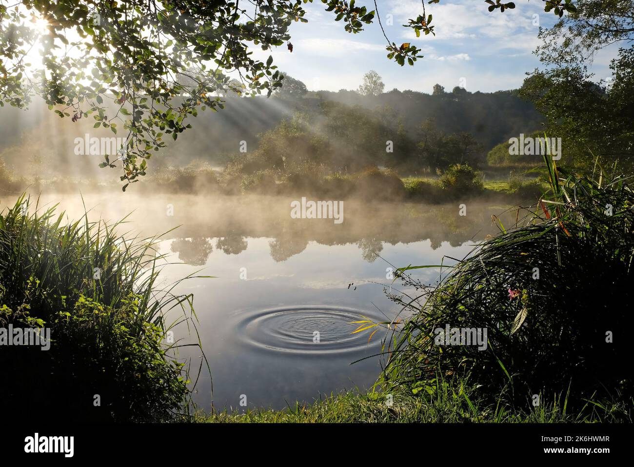 Il sole irrora gli alberi sul fiume Wey, Guildford, Surrey, Regno Unito Foto Stock