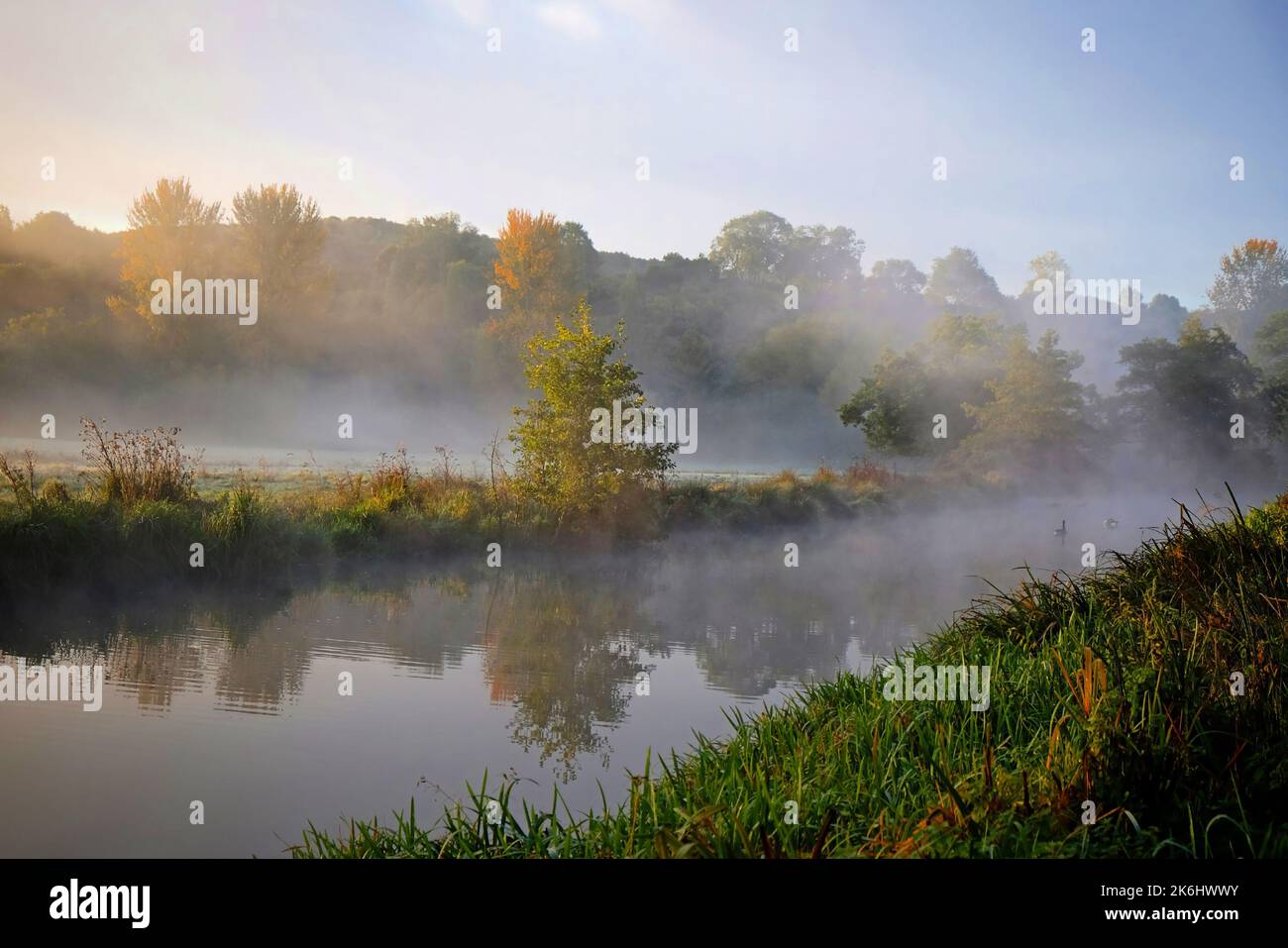 Nebbia sui prati del fiume Wey, Guildford, Surrey, Regno Unito Foto Stock