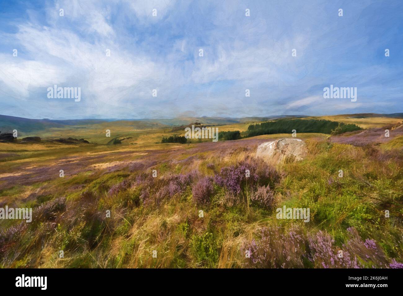 Pittura digitale astratta ad olio di erica viola in fiore durante l'estate a Gib Torr, The Roaches nel Parco Nazionale del Peak District. Foto Stock