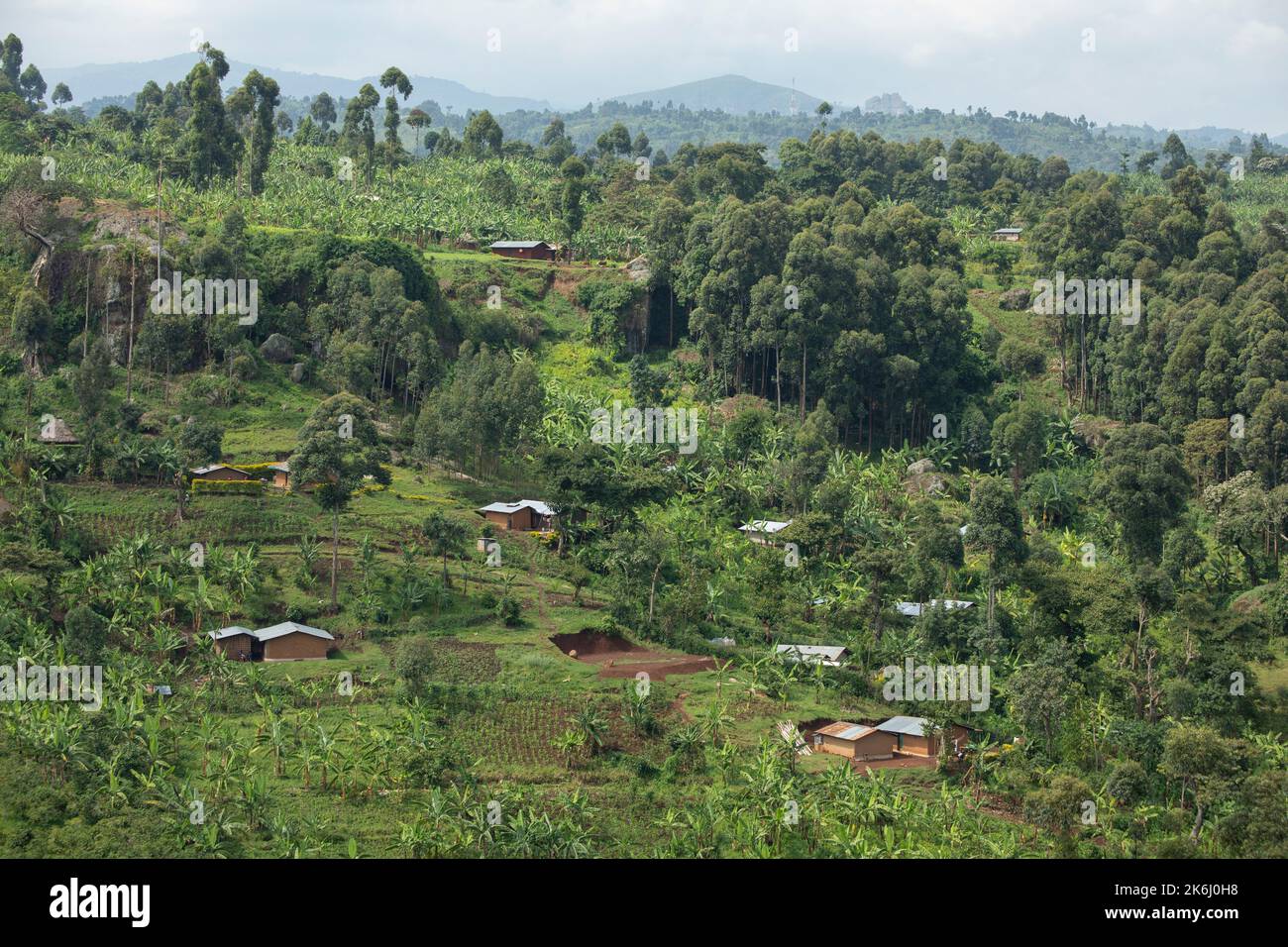 Bei villaggi e terreni agricoli sul Monte Elgon, a Pasqua Uganda, Africa orientale Foto Stock