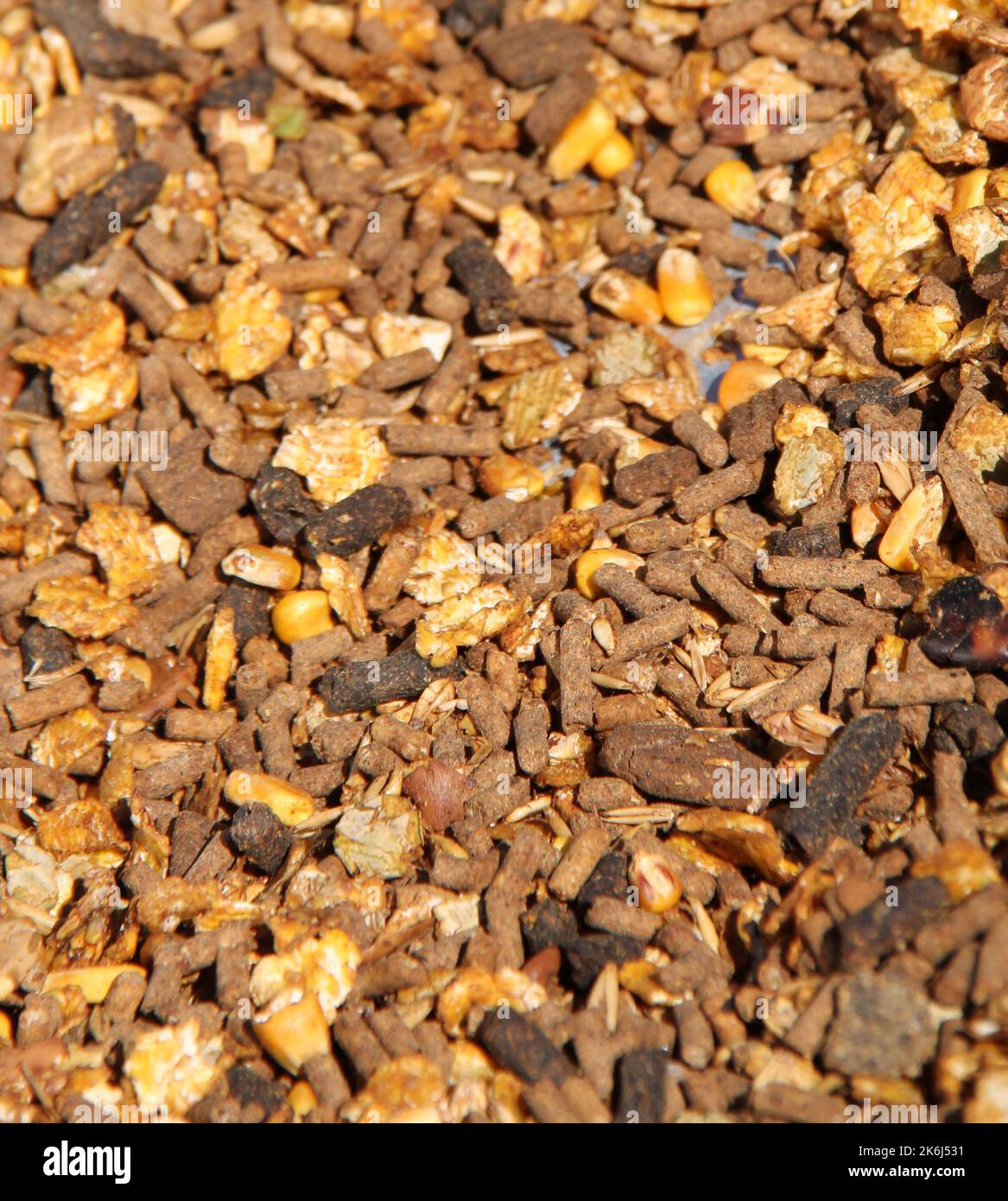 Un'immagine di Farm Animal Feed Food Mix. Foto Stock