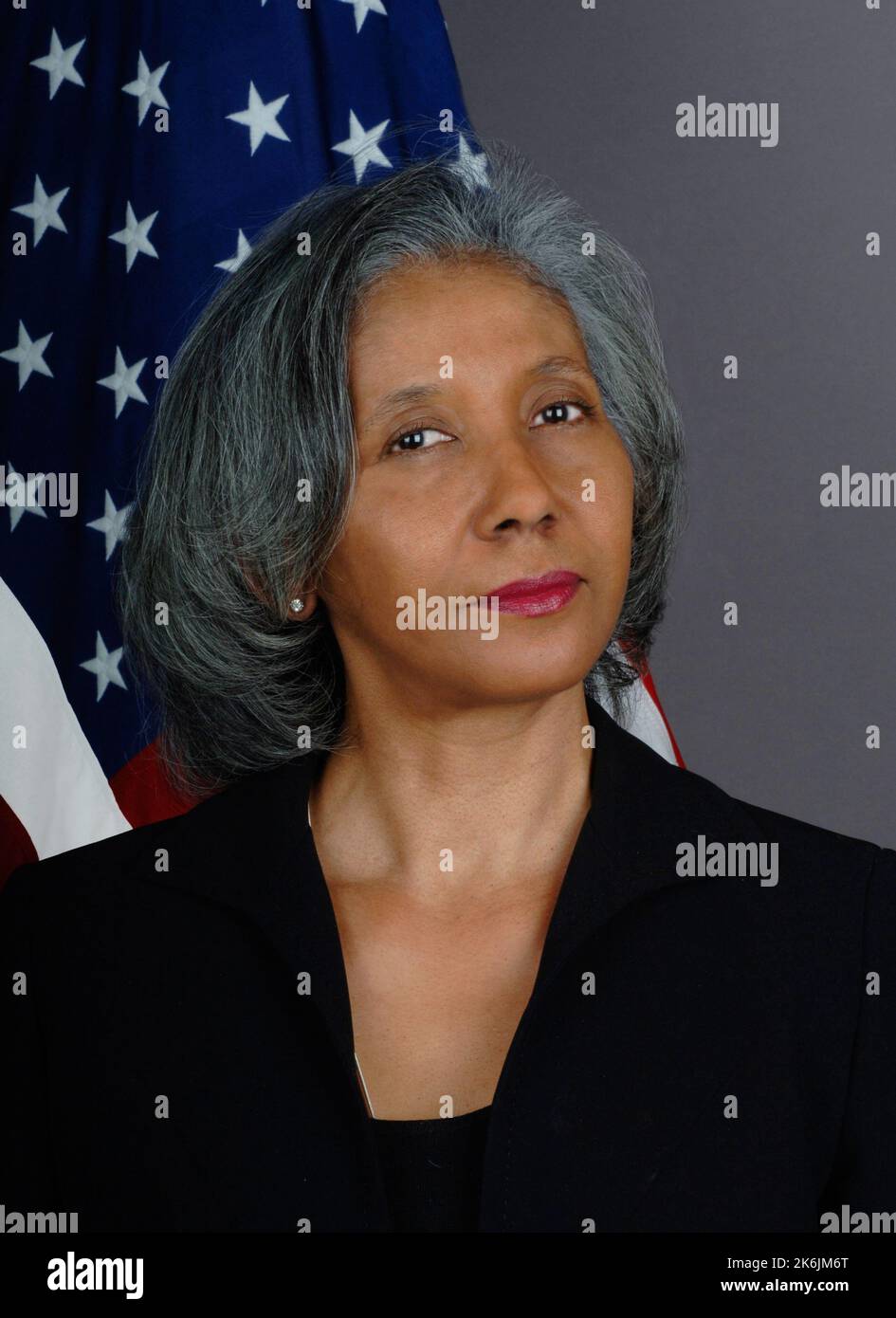 Ritratto ufficiale di Cindy Courville, Stati Uniti Ambasciatore designato presso l'Unione Africana Foto Stock