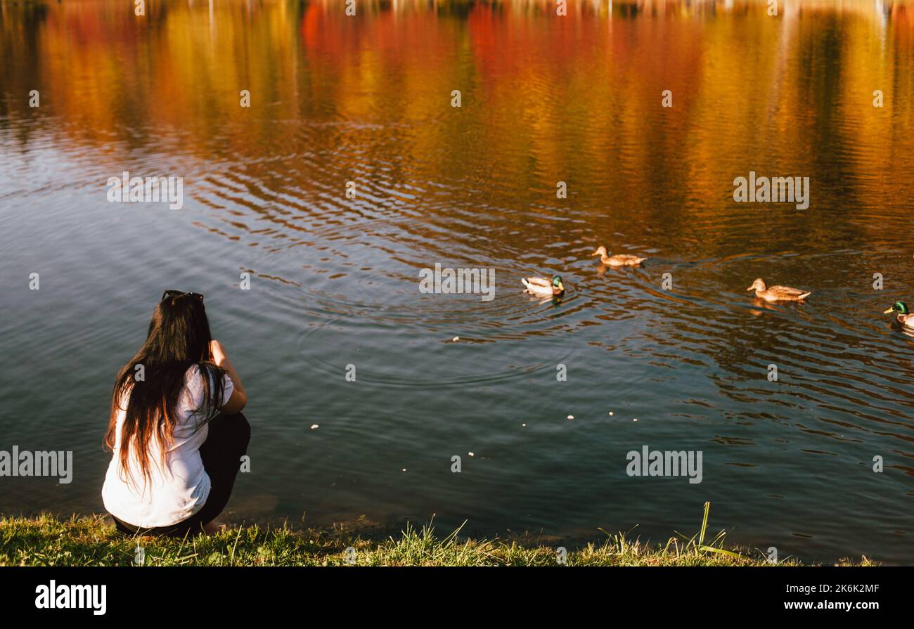 Vista sul retro della giovane donna che allatta le anatre mentre si siede sul lago durante il sole in autunno Foto Stock