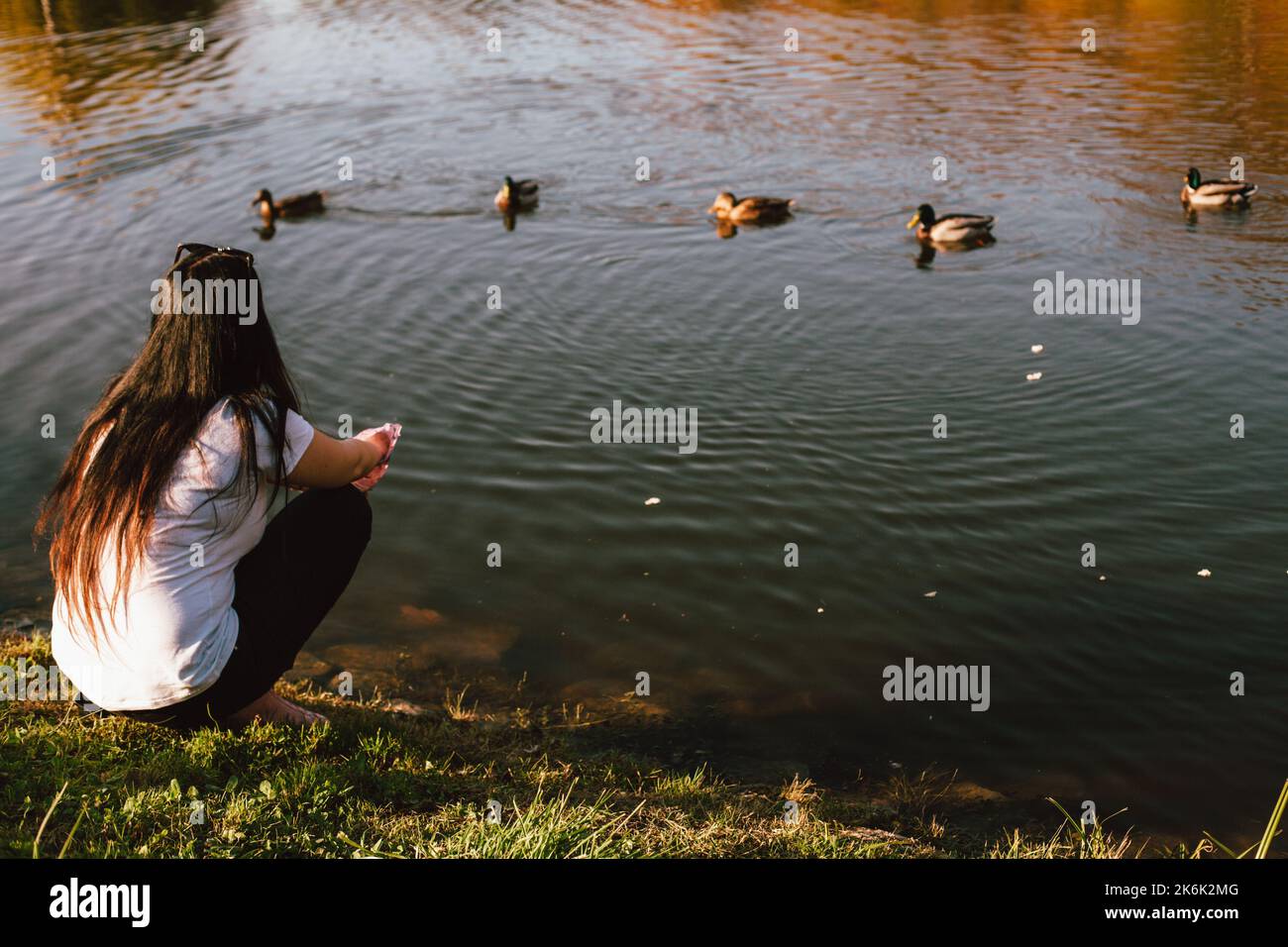 Giovane donna che allatta le anatre mentre si siede sul lago durante il sole in autunno Foto Stock