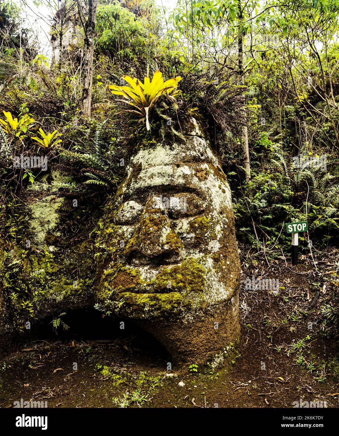 La faccia di pietra sull'isola di Floreana, Isole Galapagos, Ecuador Foto Stock