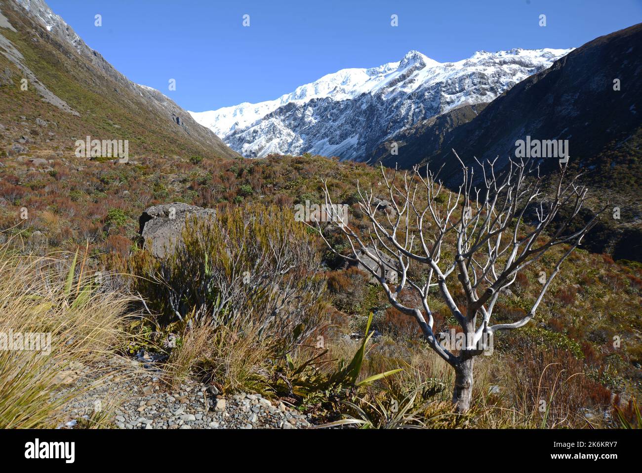 Paesaggio alpino al Passo dell'Artù nelle Alpi meridionali, Nuova Zelanda Foto Stock