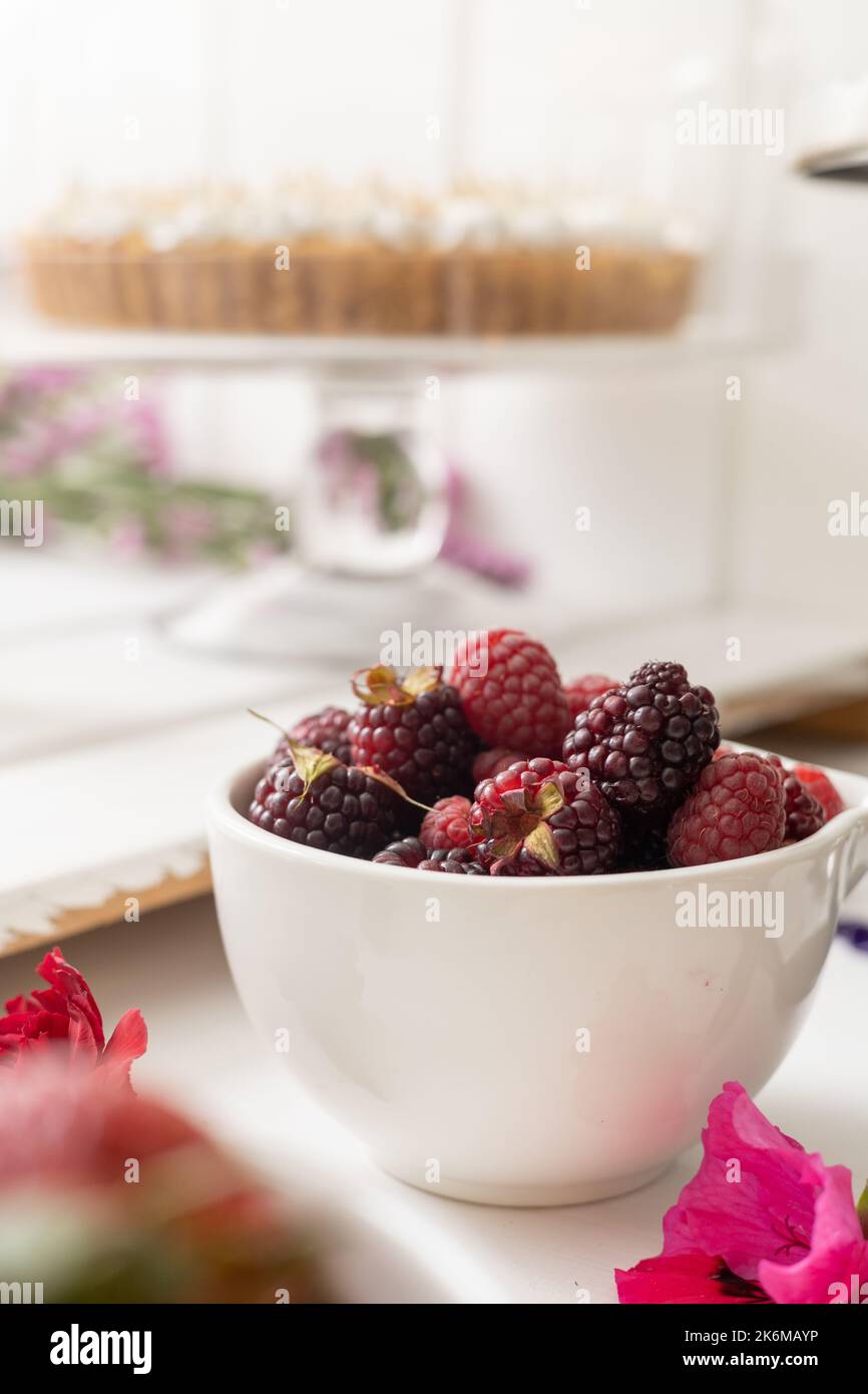 bacche rosse fresche su un piatto, cibo sano e ingrediente in studio, fragole e more, dieta nutriente Foto Stock