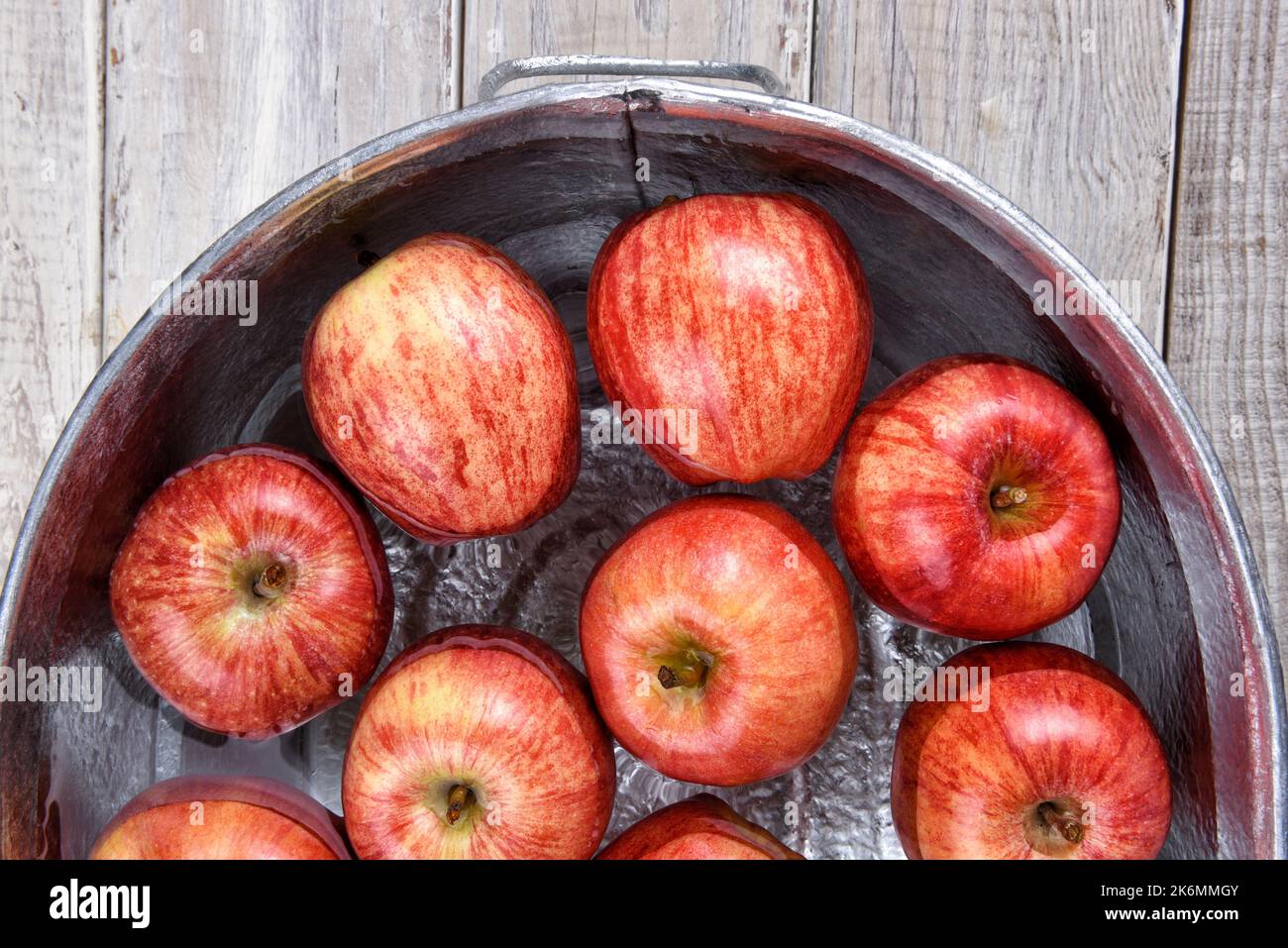 Primo piano ad angolo alto di una vasca di metallo piena di acqua e mele per l'abitudine di Halloween di roccatura di Apple. Foto Stock