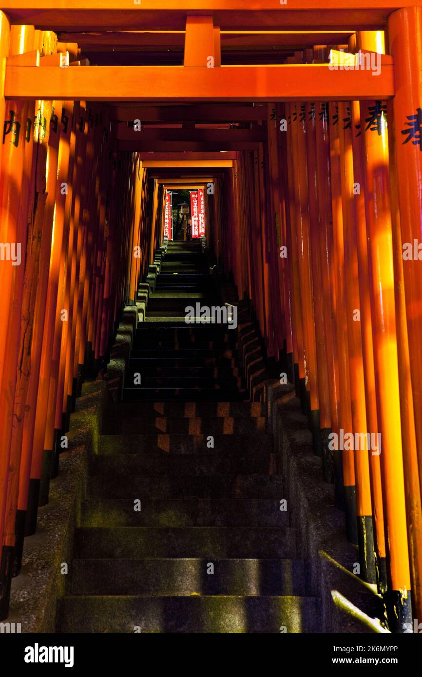 Fila di torii gate Hillside night Hie Jinja Shrine Tokyo Giappone Foto Stock