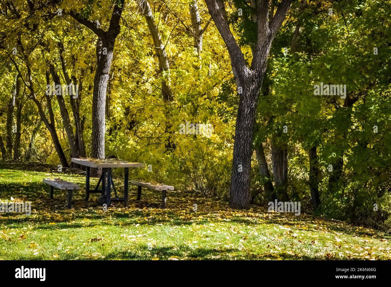 Un tavolo da picnic al parco in un soleggiato pomeriggio autunnale Foto Stock