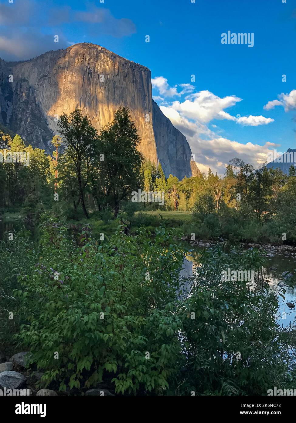 El Capitan è immerso nella luce del tardo pomeriggio con il fiume Merced sottostante, Yosemite National Park, California Foto Stock