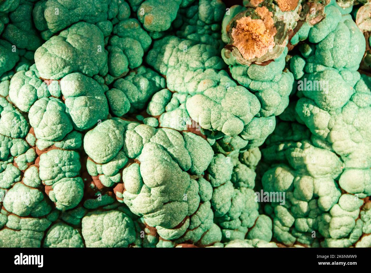 Struttura della pietra minerale verde di malachite Foto Stock