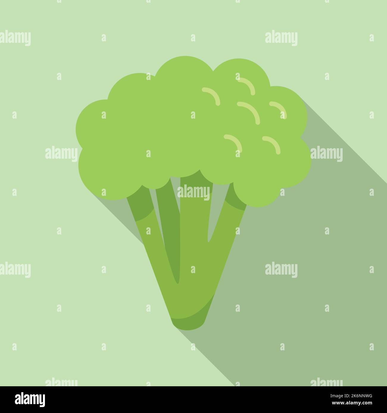 Broccoli mazzo icona vettore piatto. Cavolo vegetale. Insalata di piante Illustrazione Vettoriale