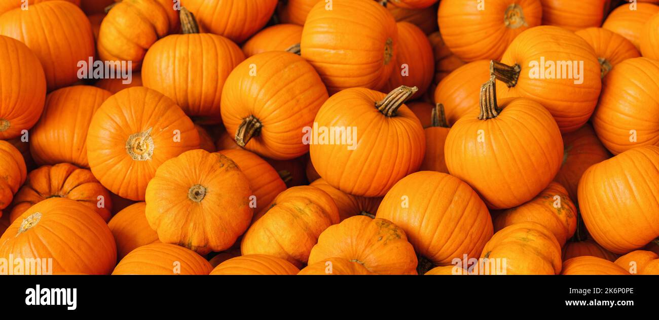palo di zucche ad un mercato Foto Stock