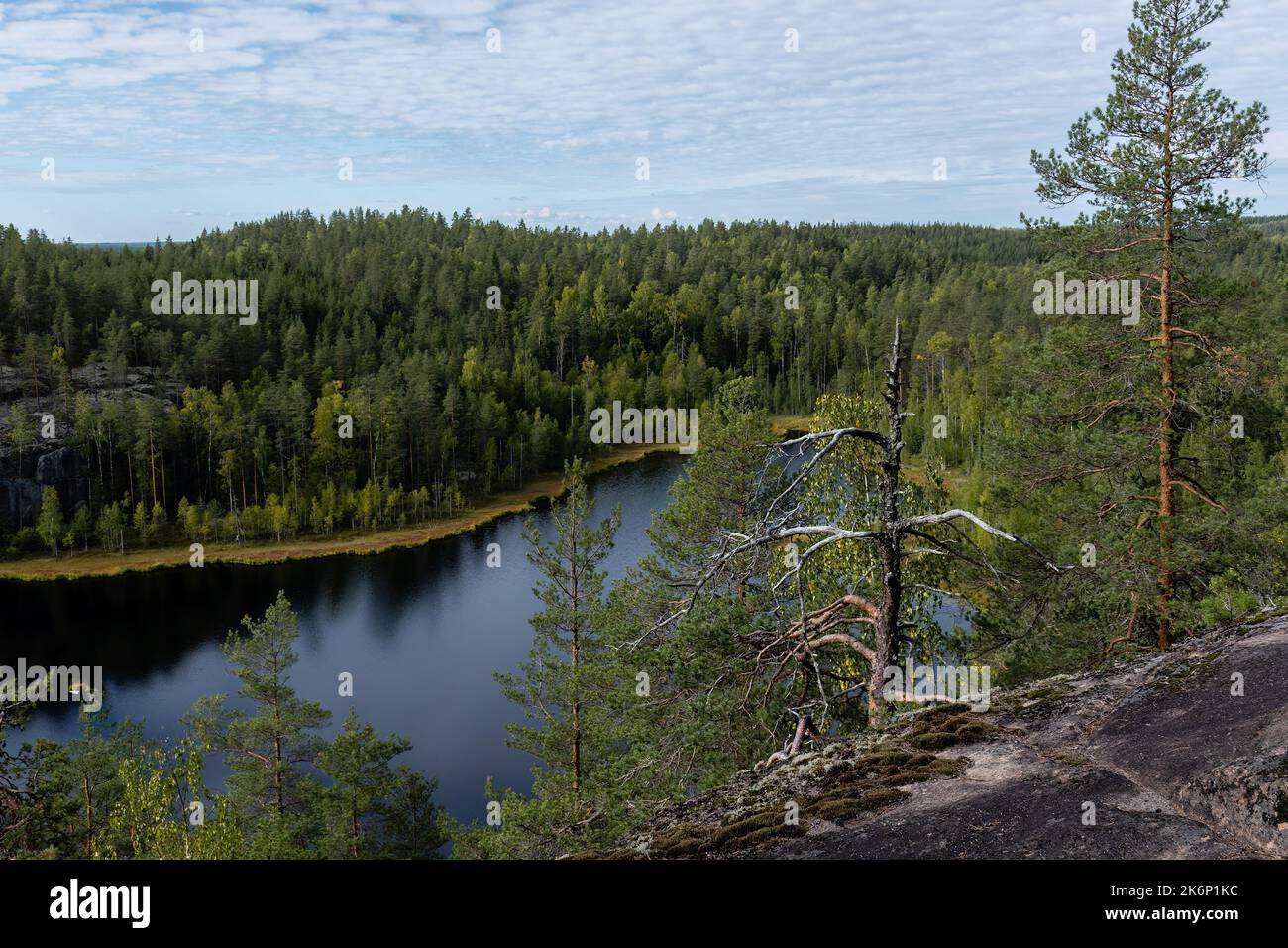 Paesaggio boschivo e lacustre finlandese dal Parco Nazionale di Repovesi a Kouvola, Finlandia Meridionale Foto Stock