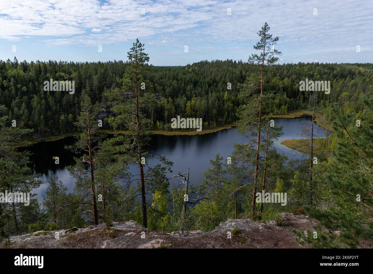 Vista panoramica sulla foresta finlandese e sul lago dal Parco Nazionale di Repovesi a Kouvola, Finlandia meridionale Foto Stock