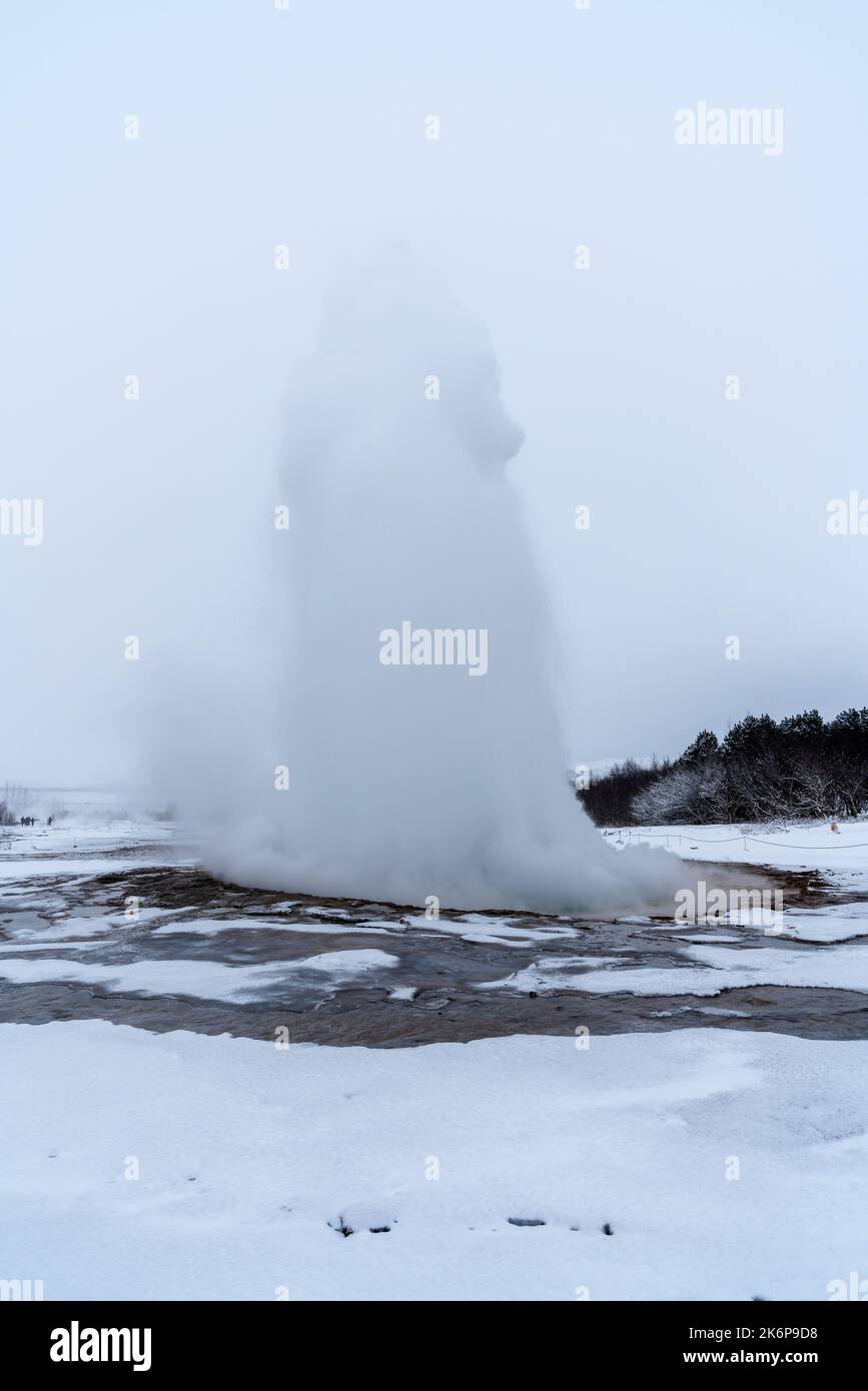 Strokkur Geysir in inverno, Haukadalur valle, Pingvellir Parco Nazionale, Thingvellir, Islanda Foto Stock