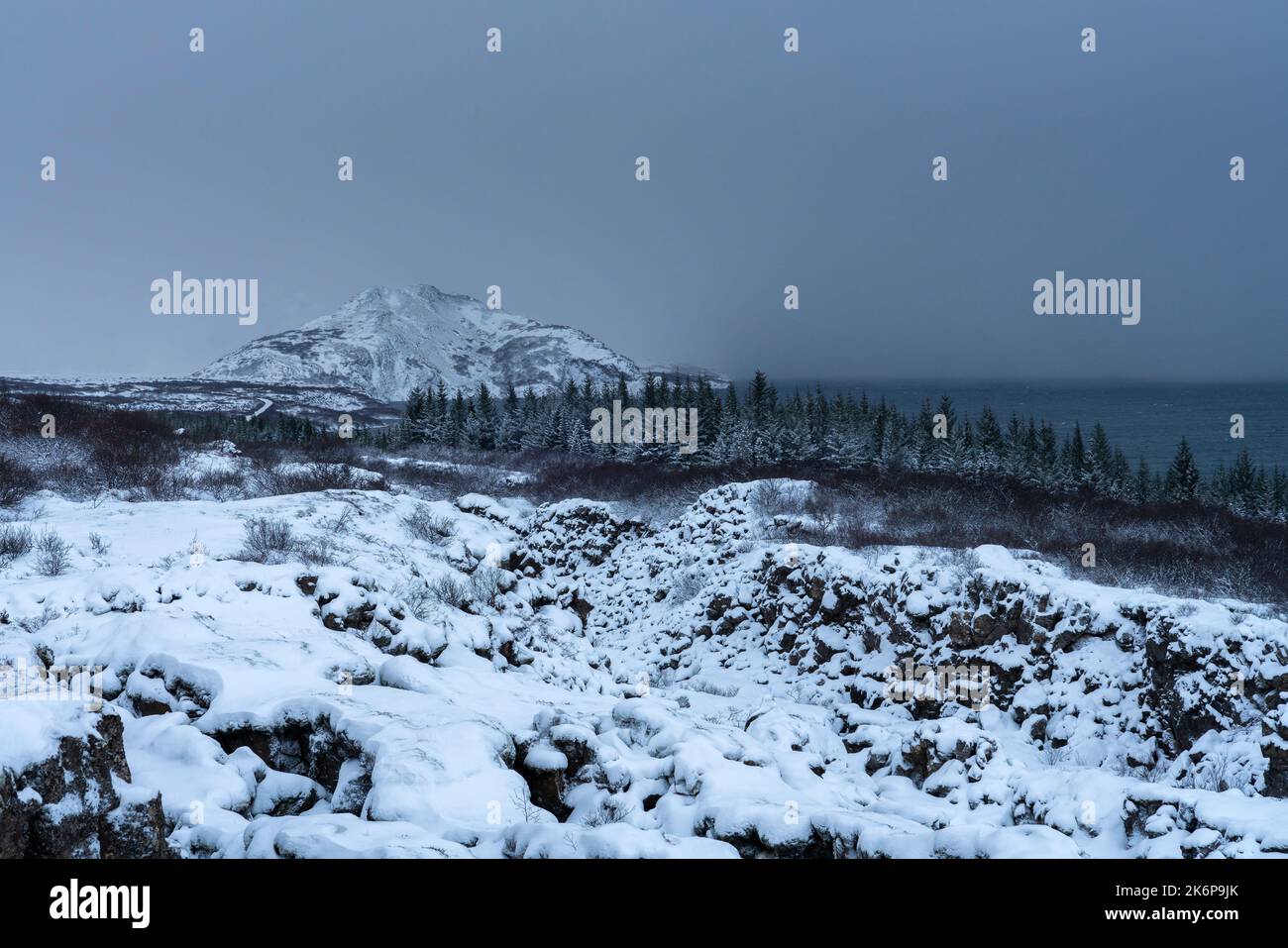 Paesaggio invernale vicino a Thingvellir, Regione meridionale, Islanda, Europa. Foto Stock