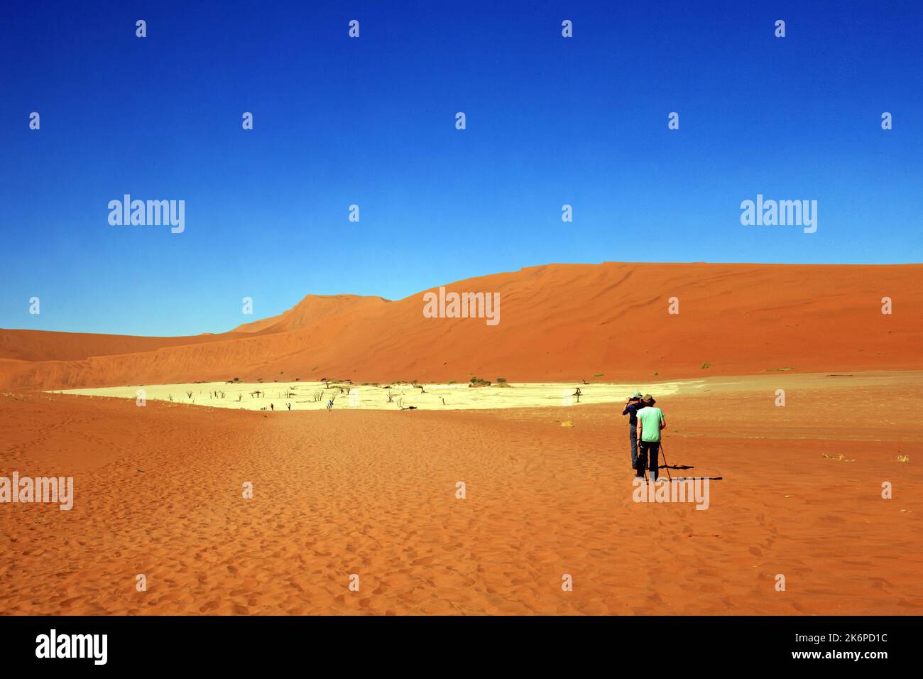 Vista posteriore di due persone trekking attraverso la calda sabbia arancione a Sossusvlei con un cielo blu brillante in Namibia Foto Stock