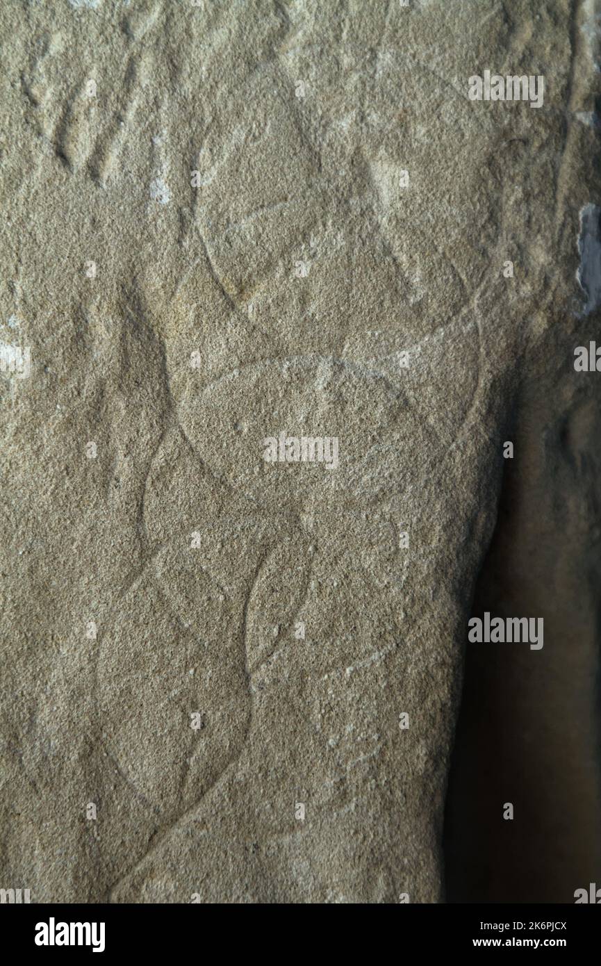 Bussola disegnata Hexfoils, medievale Graffiti incisa su pietra UK Foto Stock