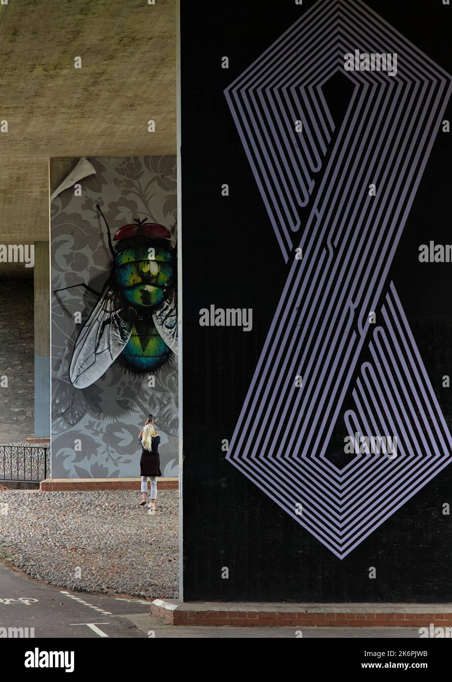 Donna che scatta una fotografia di murales d'arte, dipinti su colonne di cemento sotto un cavalcavia come parte della Upside Gallery di Bournemouth, Regno Unito Foto Stock