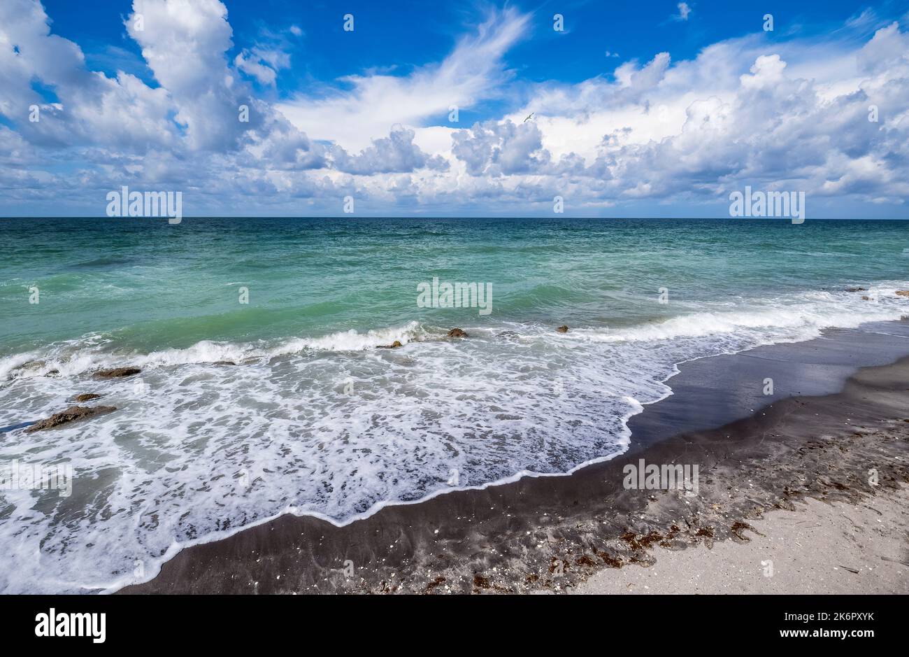 Golfo del Messico a Caspersen Beach a Venezia Florida USA Foto Stock