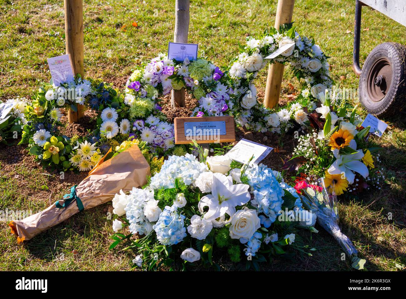 Evento commemorativo del primo anniversario dell'omicidio del deputato Sir David Amess a Southend on Sea, Essex, Regno Unito. Albero piantato in Chalkwell Park in memoria. Foto Stock