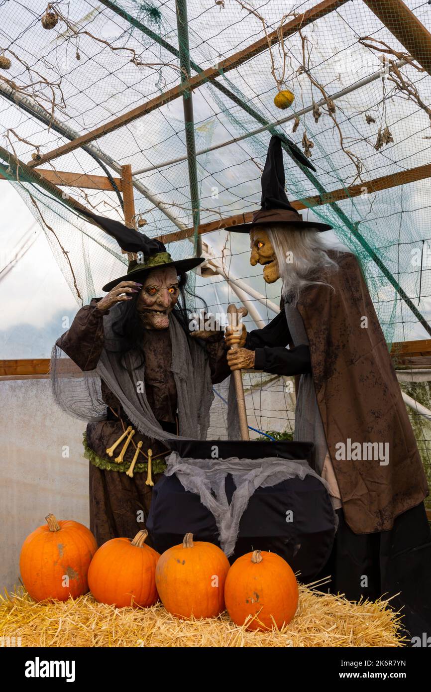 Totton, Hampshire, Regno Unito. 15th ottobre 2022. Migliaia di persone visitano la Sunnyfields Farm a Totton, Hampshire, per avventure da spooktacular e mostre di fangtastica al tempo di Pumpkin mentre si avvicina Halloween. Streghe agitando calderone credito: Carolyn Jenkins / Alamy Live News Foto Stock