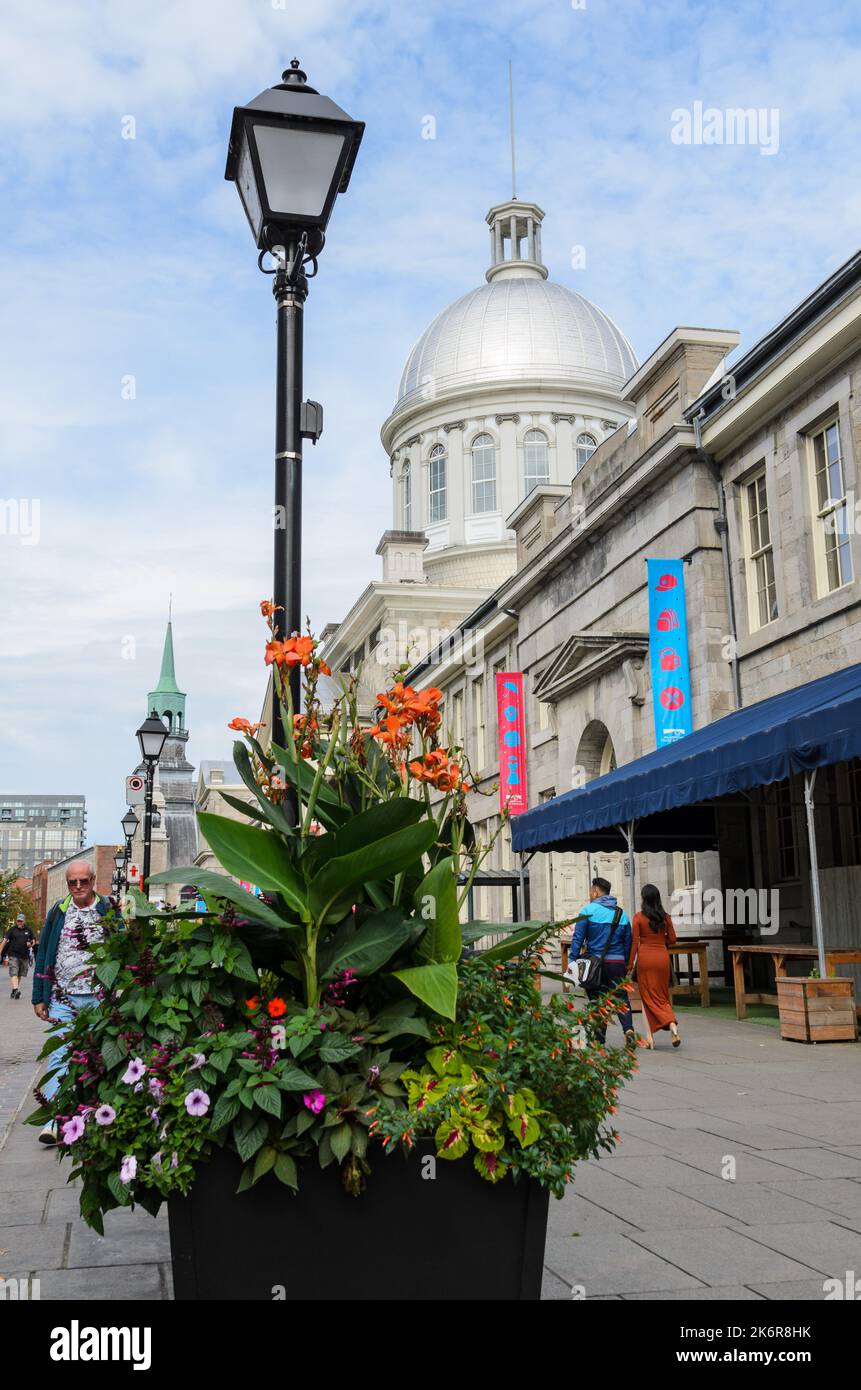 Il Duomo delle Marche Bonsecours edificio a Montreal, Quebec, Canada Foto Stock