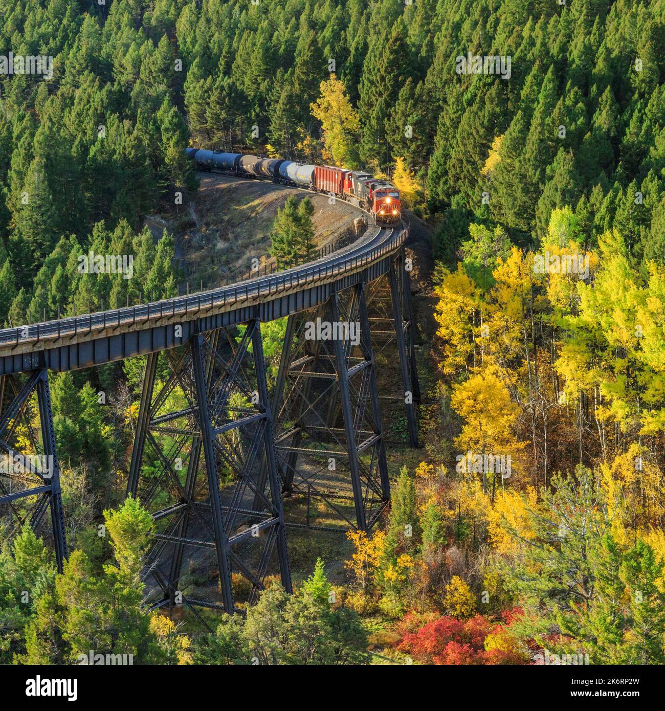 treno che passa sopra un alto traliccio sotto il passo di mullan in autunno vicino austin, montana Foto Stock