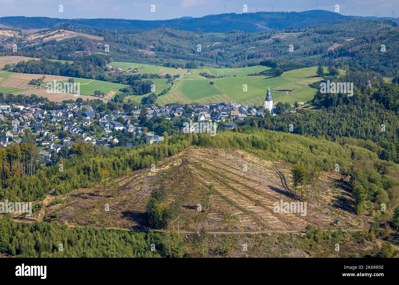 Veduta aerea, danni alla foresta NSG Eiserkaulen, sullo sfondo chiesa di San Johannes Evangelist, area forestale Arnsberger Wald, Eversberg, Meschede, Sauerl Foto Stock