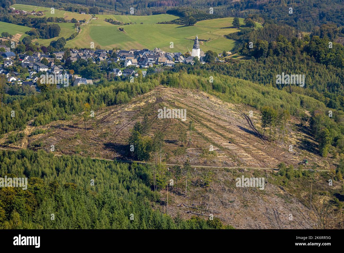 Veduta aerea, danni alla foresta NSG Eiserkaulen, sullo sfondo chiesa di San Johannes Evangelist, area forestale Arnsberger Wald, Eversberg, Meschede, Sauerl Foto Stock