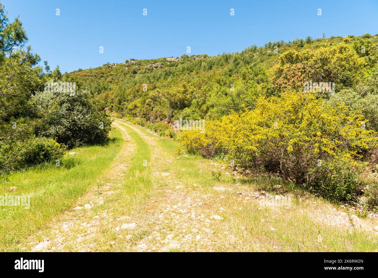 Sentiero Carian prova escursionistica a lunga distanza che passa lungo la costa del Golfo di Gokova nella provincia di Mugla in Turchia Foto Stock