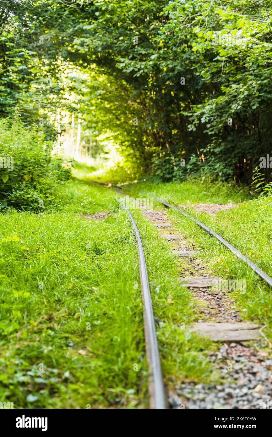 I binari ferroviari e cresciuto di erba. Parte della storia passata. Binario ferroviario abbandonato. Luce alla fine delle ferrovie Foto Stock