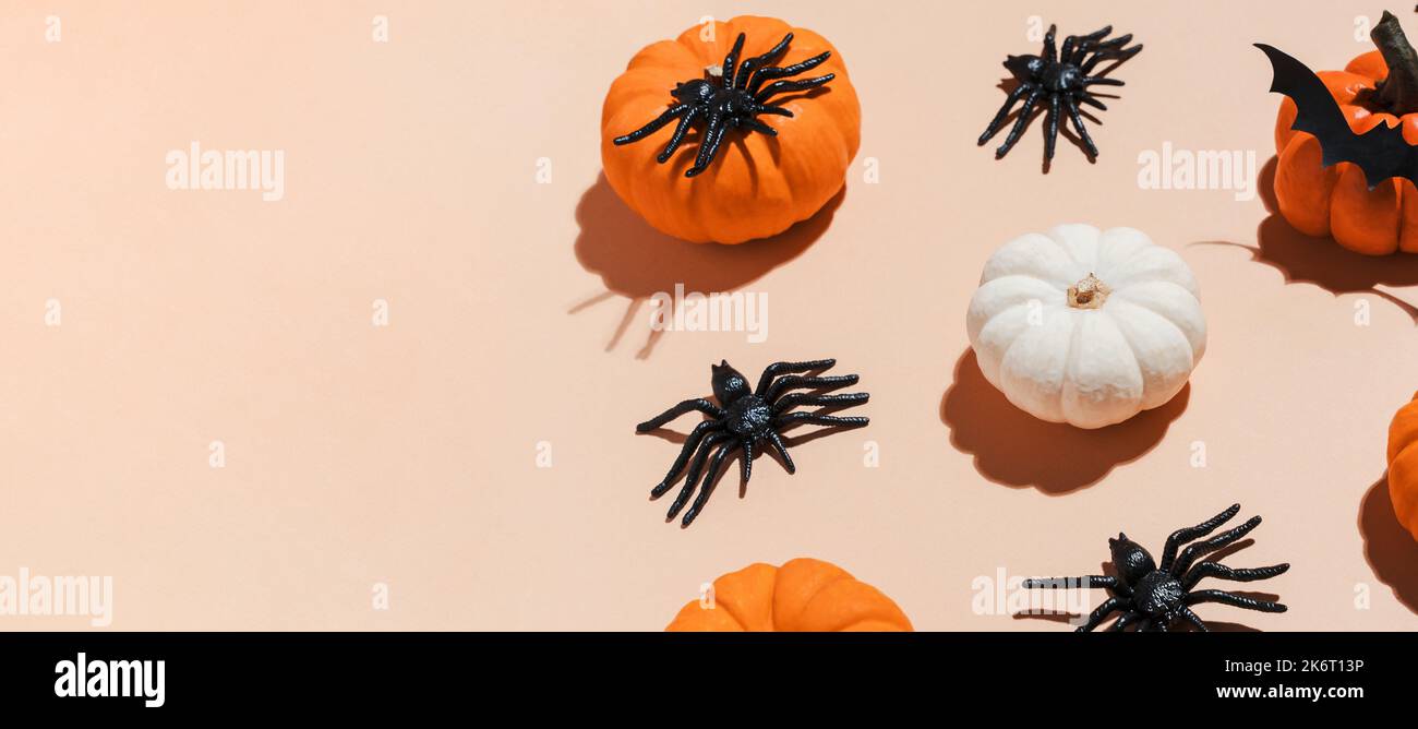 Motivo di zucca per banner di Halloween con ombre dure alla moda. Zucche arancioni e ragni neri su sfondo pastello. Decorazione per Halloween pa Foto Stock