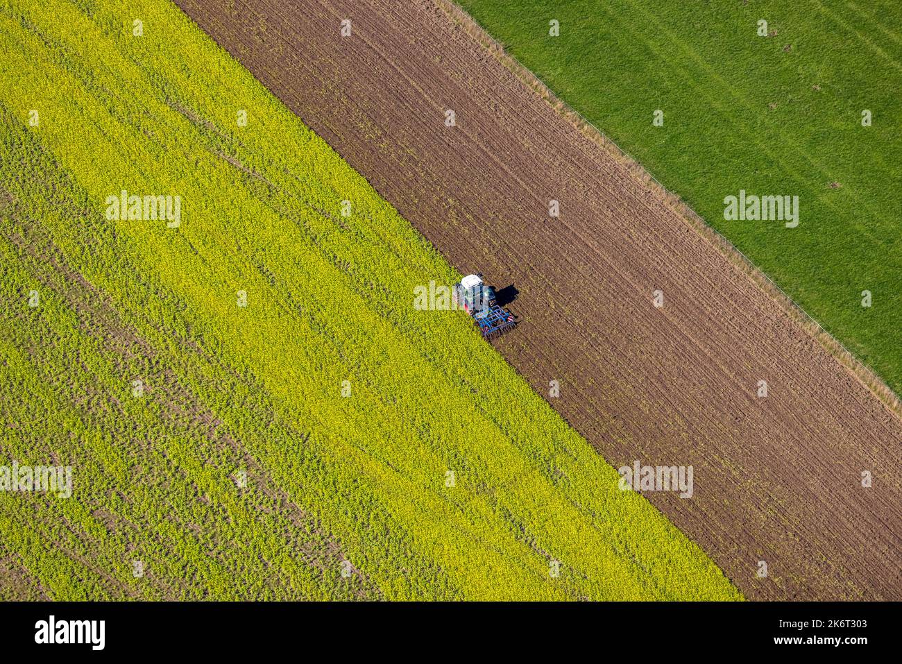 , Vista aerea, lavoro sul campo con trattore, lavoro sul suolo, lavoro agricolo, forme e colori, Wormbach, Schmallenberg, Sauerland, Renania settentrionale-Vestfalia, G. Foto Stock