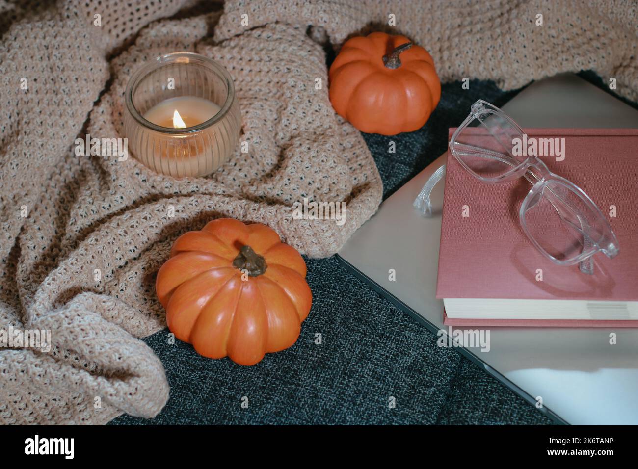 Zucche piccole, intime coperte a maglia, notebook e bicchieri sul divano Foto Stock