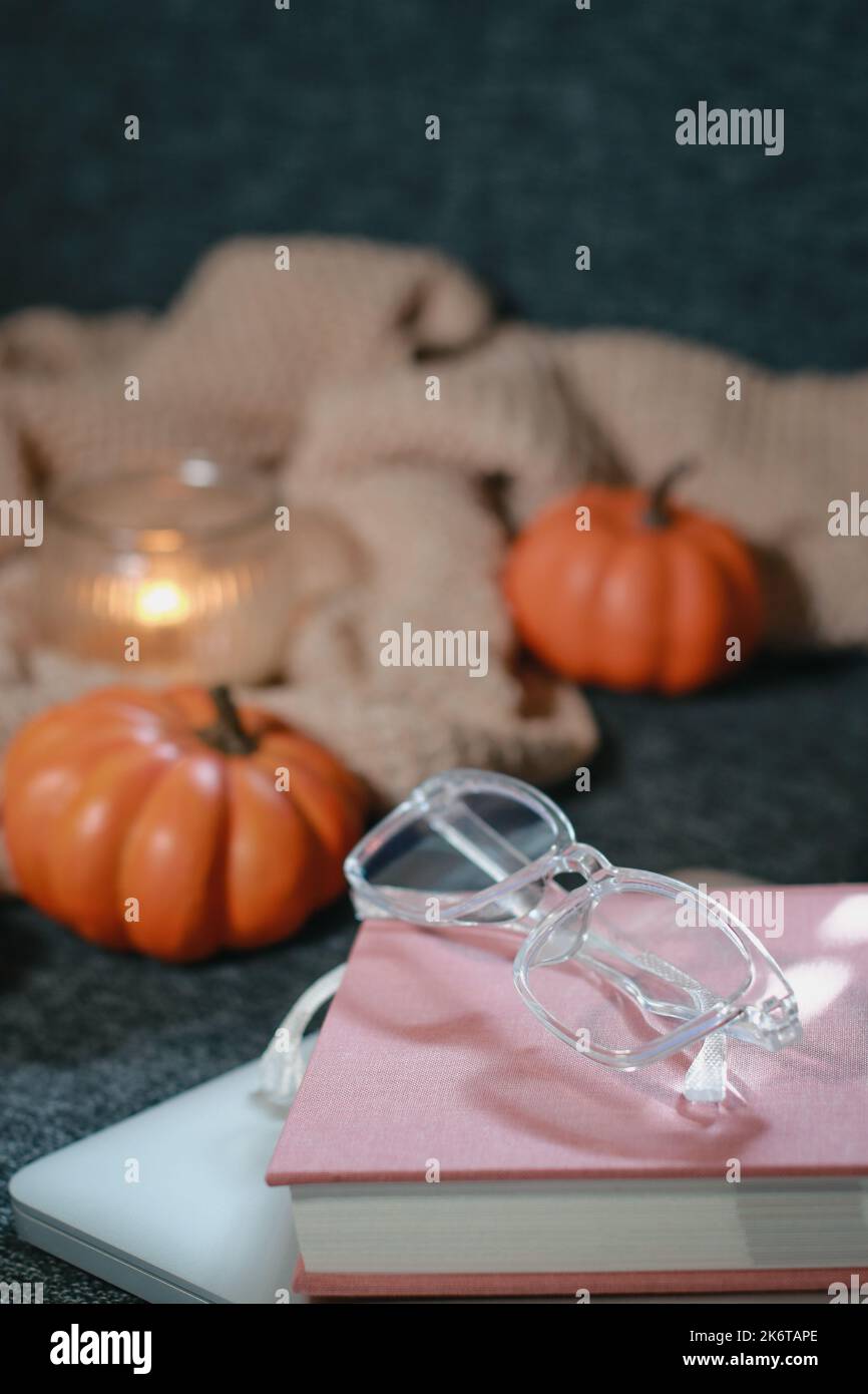 Zucche piccole, intime coperte a maglia, notebook e bicchieri sul divano Foto Stock