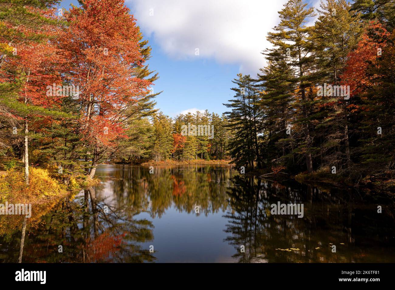 Londonderry, VT - USA - 8 ottobre 2022 Vista panoramica autunnale del pittoresco lago Lowell di 102 acri, situato nel Lowell Lake state Park del Vermont. Rosso Foto Stock