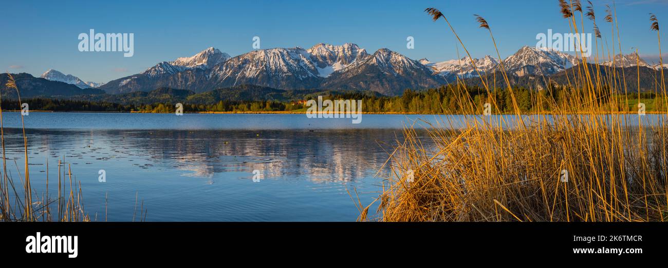 Sunrise, Hopfensee, vicino a Fuessen, Ostallgaeu, Allgaeu, Swabia superiore, Swabia, Baviera, Germania Foto Stock