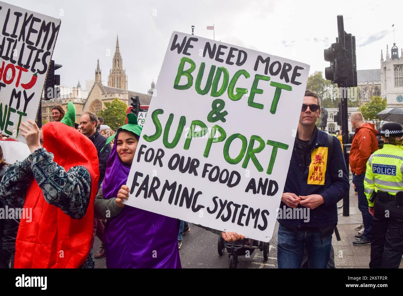 Londra, Regno Unito. 15th Ott 2022. Un manifestante ha un cartello che chiede più bilancio e sostegno all'agricoltura durante la marcia in Piazza del Parlamento. Agricoltori e sostenitori hanno marciato a Westminster chiedendo un migliore sistema alimentare e agricolo nel Regno Unito, per salvare i programmi di gestione ambientale del territorio e per proteggere la natura. Credit: SOPA Images Limited/Alamy Live News Foto Stock