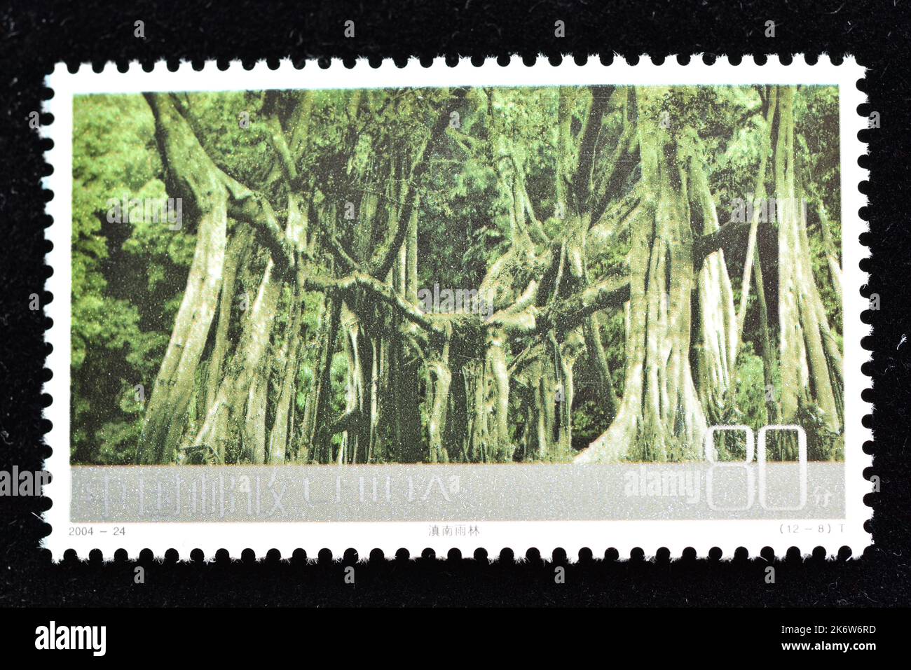 CINA - CIRCA 2004: Un francobollo stampato in Cina mostra 2004-24 scene di frontiera della Cina - Paesaggio carsico nel Guangxi del Sud, circa 2004 Foto Stock