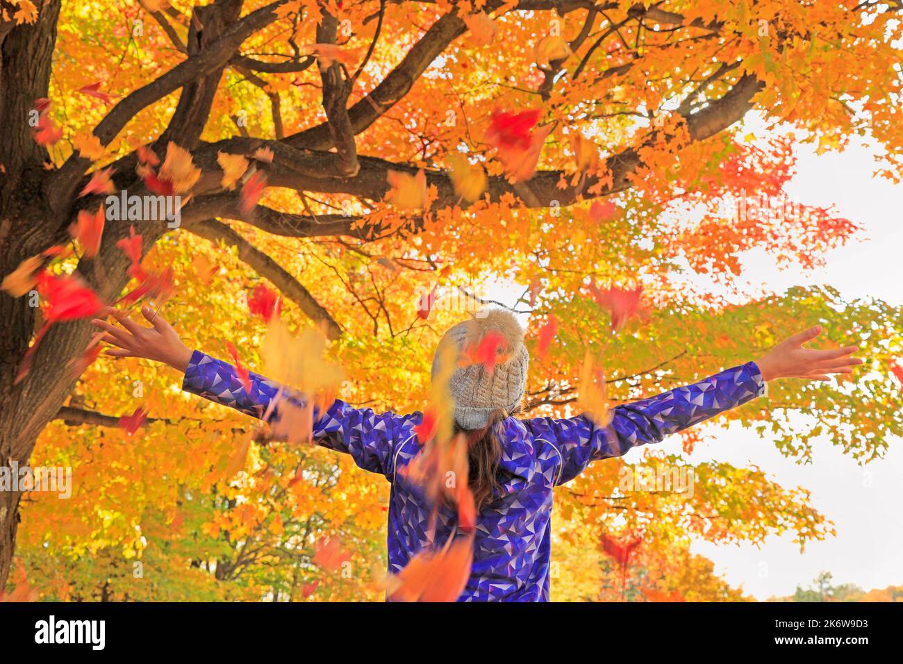 Giovane ragazza che si gode autunno foglie colorate in Quebec, Canada Foto Stock