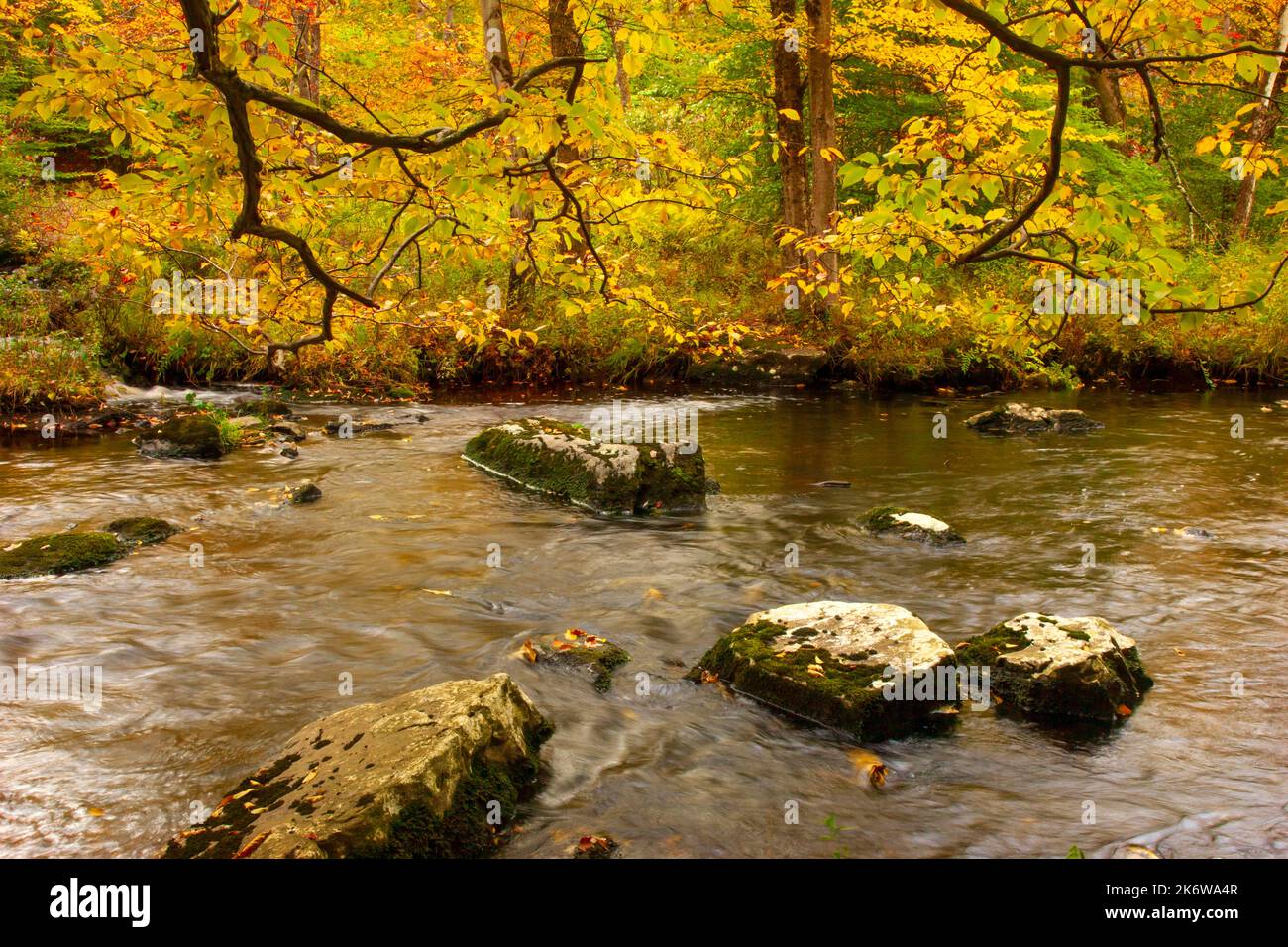 Tobyhanna Creek, è un flusso di trote di alta qualità,. E' lungo 29,9 miglia affluente dei fiumi Lehigh e Delaware nelle Montagne Pocono dell'Est Foto Stock