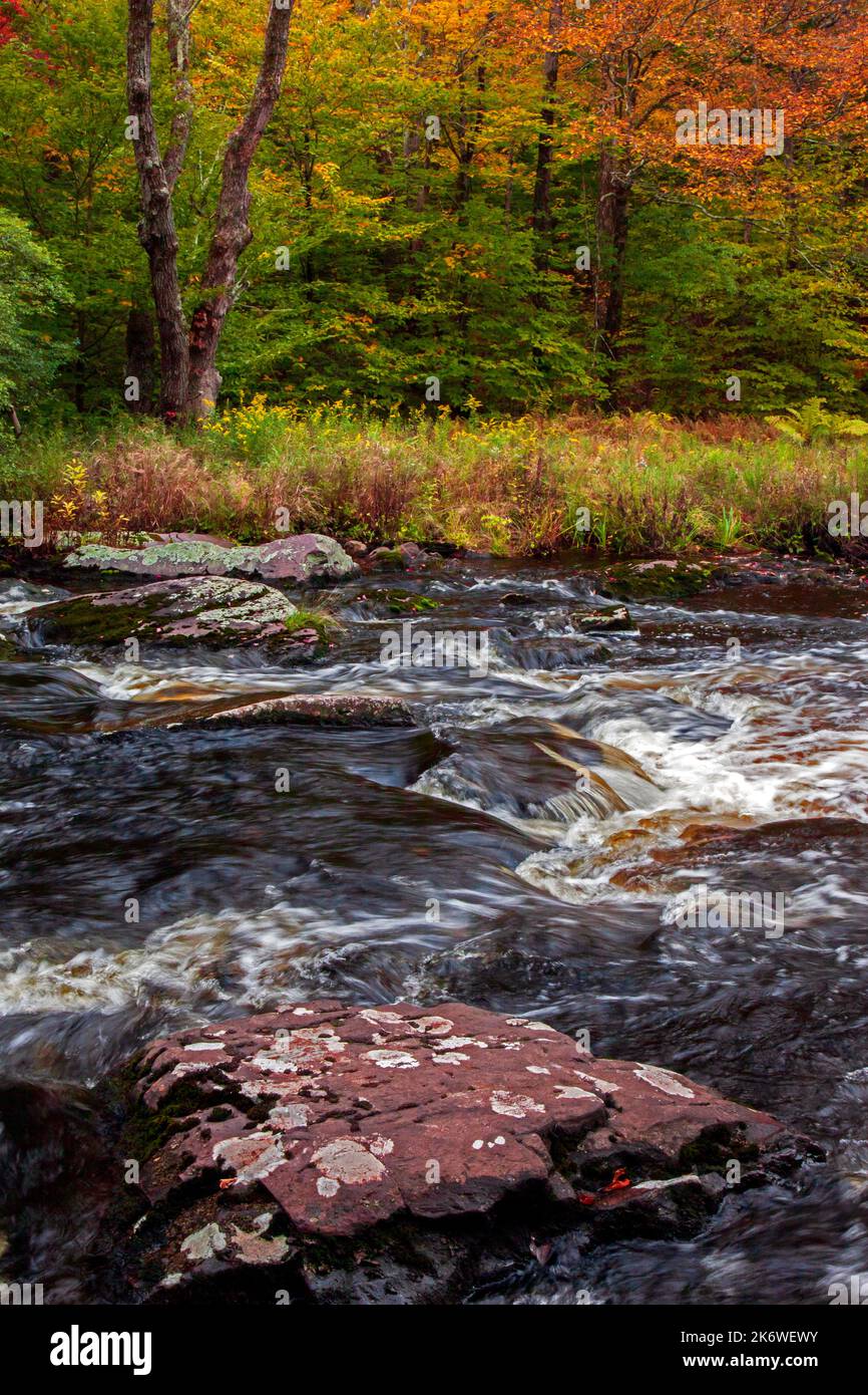 Tobyhanna Creek, è un flusso di trote di alta qualità,. E' lungo 29,9 miglia affluente dei fiumi Lehigh e Delaware nelle Montagne Pocono dell'Est Foto Stock