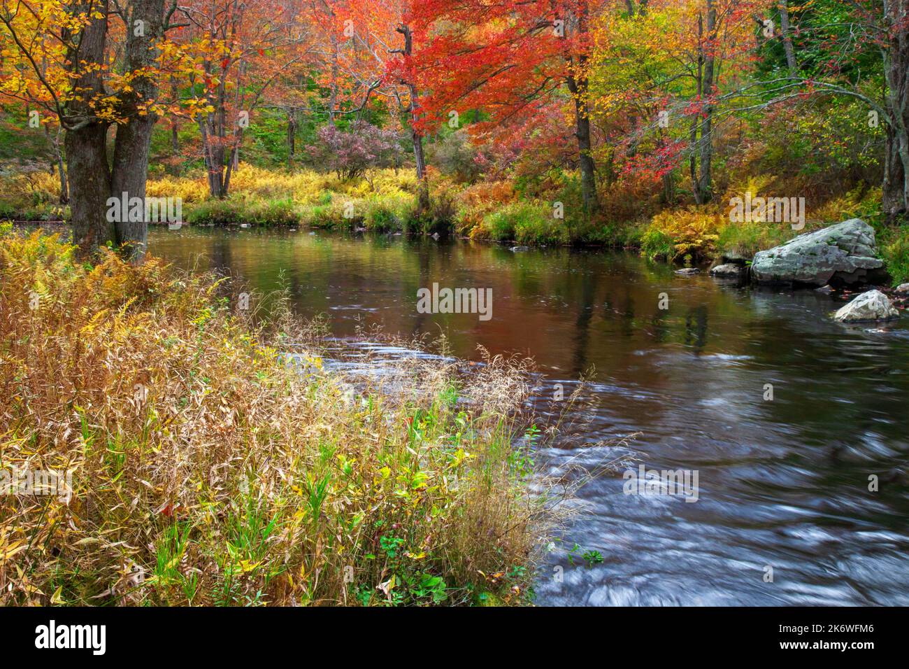 Tobyhanna Creek, è un flusso di trote di alta qualità,. E' lungo 29,9 miglia affluente dei fiumi Lehigh e Delaware nelle Montagne Pocono dell'Est Foto Stock