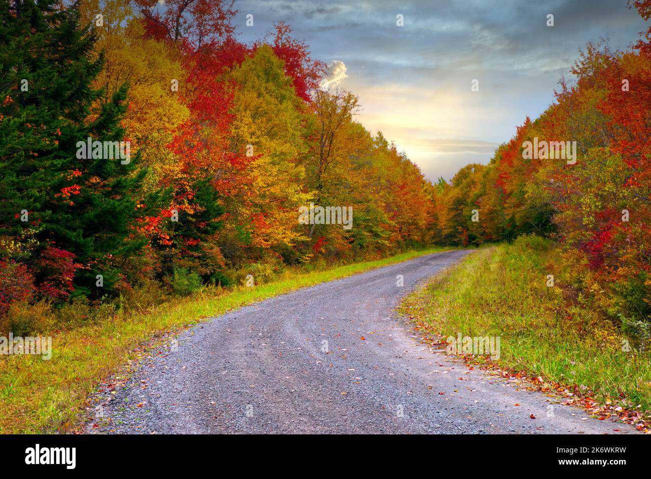 Una strada rurale che attraversa una foresta autunnale nelle Pocono Mountains della Pennsylvania Foto Stock