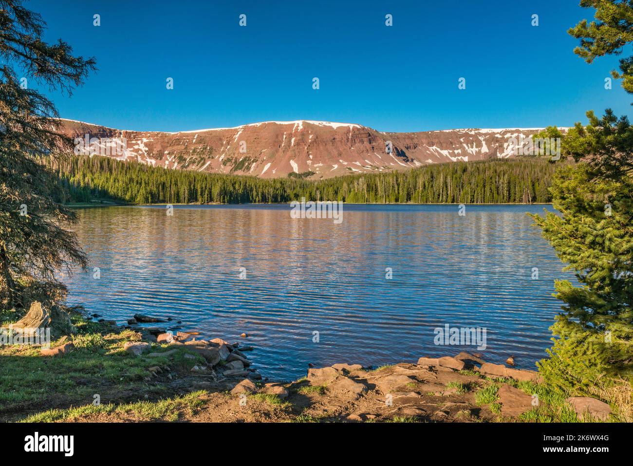 Spirit Lake, all'alba, Uinta Range, Ashley National Forest, Utah, STATI UNITI Foto Stock