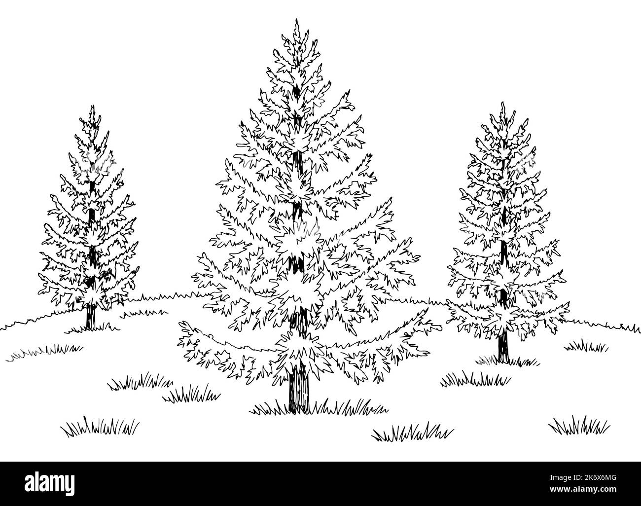 Larice grove grafica bianco nero paesaggio disegno vettore di illustrazione Illustrazione Vettoriale