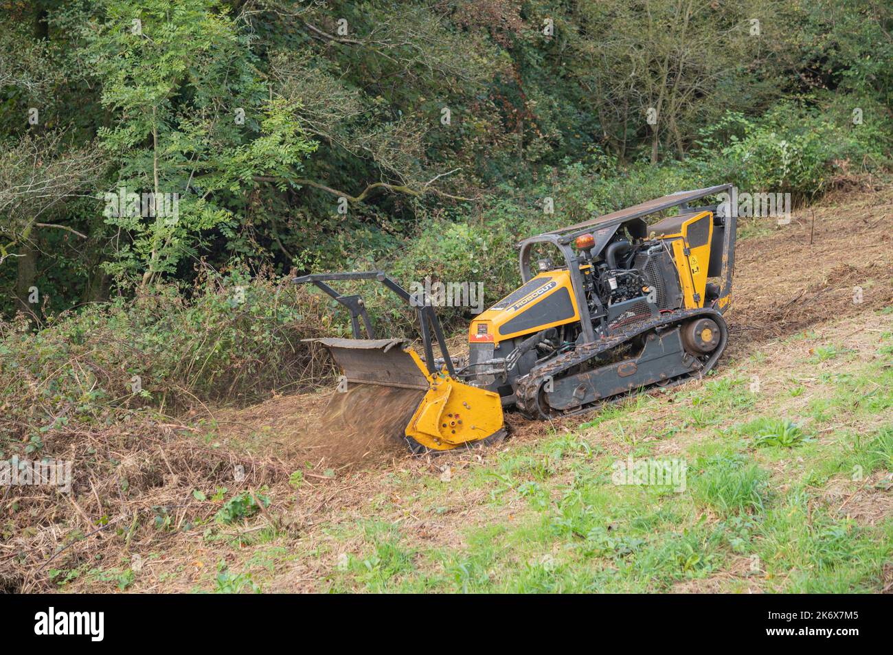La lama di taglio del rasaerba cingolato Robocut è controllata a distanza in Field, Carmarthenshire, Wales, UK Foto Stock